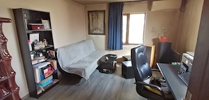Vânzare casă 54 mp, 2 camere, teren 472 mp, Dobra | Hunedoara - imagine 5