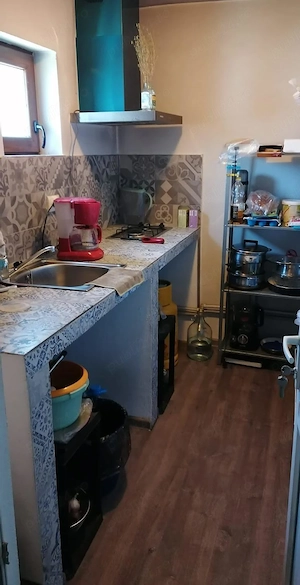 Vânzare casă 54 mp, 2 camere, teren 472 mp, Dobra | Hunedoara - imagine 7