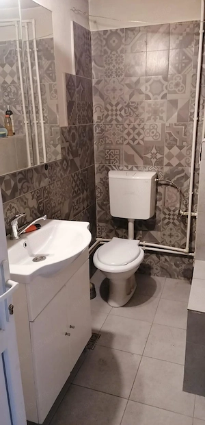Vânzare casă 54 mp, 2 camere, teren 472 mp, Dobra | Hunedoara - imagine 8