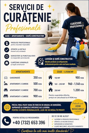 Curățenie profesională | Apartamente, case și după constructor | Produse profesionale