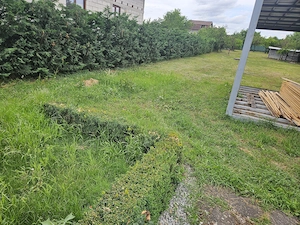 Vand proprietate in Beius-front doua strazi - imagine 10