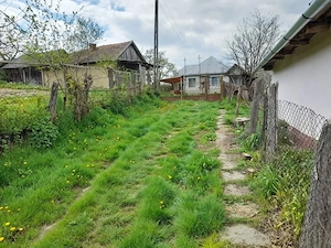 VÂNZARE CASA cu teren total 3.096 mp   Boianu Mare, Bihor - imagine 4