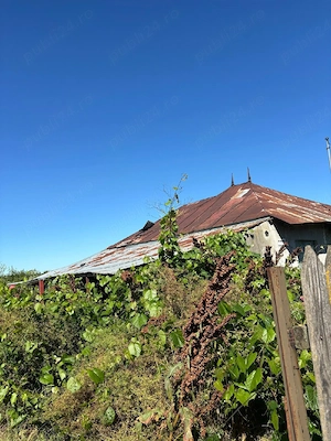 Vând casă in provincie