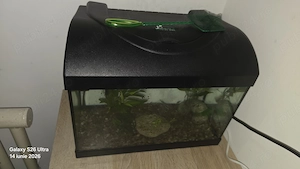 Acvariu pentru pesti ,20 litri - imagine 3