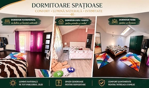 ZERO COMISION ! Vila premium P+M Iasi_Bucium_Plopii Fara Sot, 201 mp, teren 660 GARAJ_Fotovoltaice - imagine 4