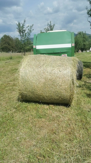 Baloți de ghizdei ecologic Bistrița 
