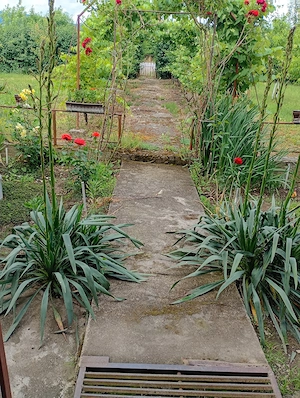 vand casa in Coplean - imagine 9