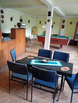 vand casa in Coplean - imagine 3