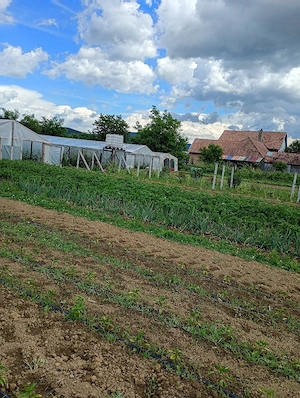 vand casa in Coplean - imagine 10