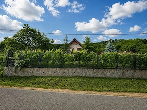 Casa Enculesti-Stefanesti, teren 1800mp - imagine 3