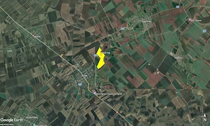 103 ha teren arabil compact, loc. Biled, jud. Timis