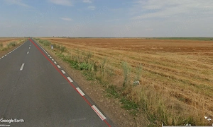 103 ha teren arabil compact, la 25 km de Timisoara - imagine 5