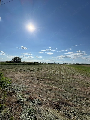 Teren de vanzare 12.000 euro lot - imagine 3