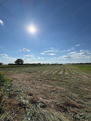 Teren de vanzare 12.000 euro lot - imagine 2