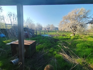 Vând teren+casă bătrânească+construcție nefinalizată Radovanu sat Valea popii Jud. Calarasi - imagine 5