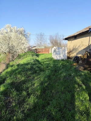 Vând teren+casă bătrânească+construcție nefinalizată Radovanu sat Valea popii Jud. Calarasi - imagine 8