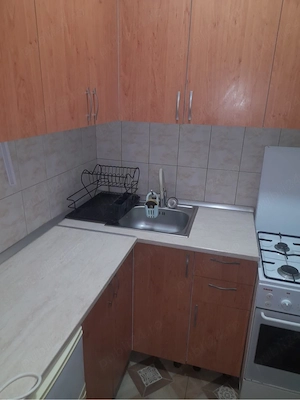 inchiriez apartament cu o camera zona UMT Timisoara  - imagine 3