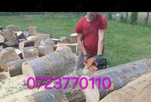 tai lemne cu drujba profesionala și tund iarba cu motocoasa
