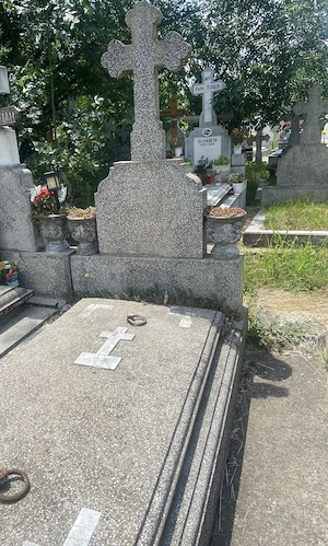 Loc de veci cimitirul Damaroaia