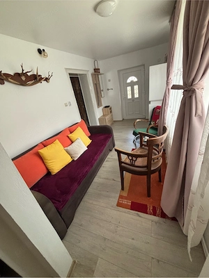 Casa de vacanta in Valiug - imagine 2