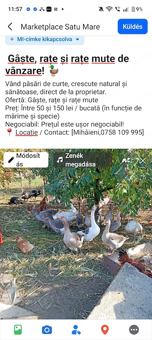 Rata. Gasca