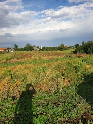 Teren intravilan 1.055 mp în Cenad, jud. Timiş - Acte la zi, proprietar