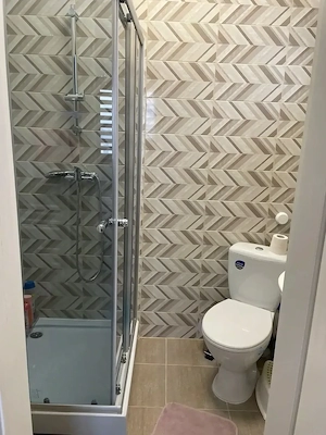 Apartament 3 camere cu curte in vila - imagine 6