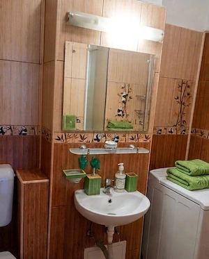Apartament 2 camere decomandat | Bulevardul Camil Ressu nr. 50 - imagine 3