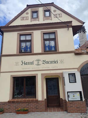 Hanul Bucuriei angajează Responsabil Servire și Bar - imagine 3