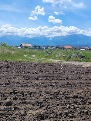 Vând teren intravilan în Avrig (Sibiu)  - imagine 2