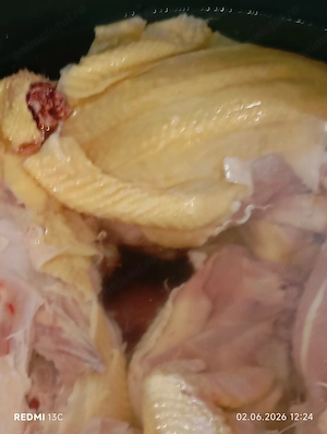 Pui de carne