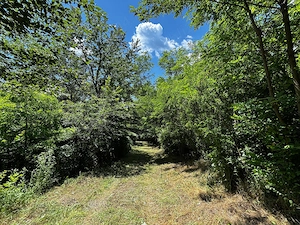 Teren Padure 6857 mp. intravilan Com Bujoreni-Valcea