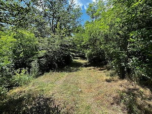 Teren Padure 6857 mp. intravilan Com Bujoreni-Valcea - imagine 6