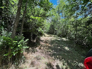 Teren Padure 6857 mp. intravilan Com Bujoreni-Valcea - imagine 3