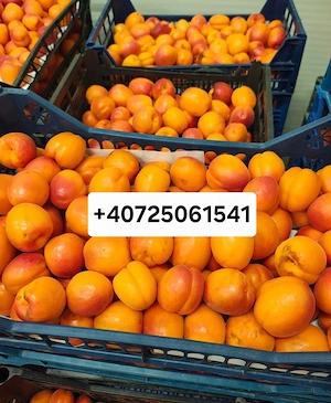 Fructe și legume 