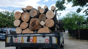 lemne de foc și transport 