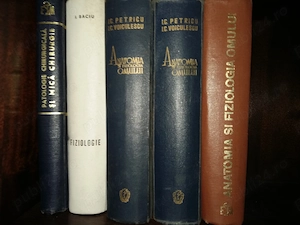 Anatomia și Fiziologia Omului Petricu Voiculescu  - imagine 5