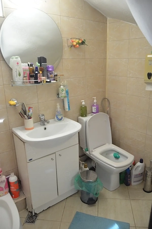 Apartament cu trei camere,mobilat si utilat-Busteni - imagine 9
