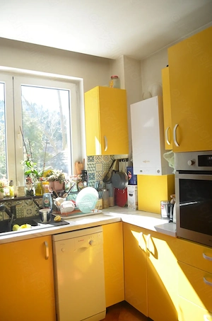 Apartament cu trei camere,mobilat si utilat-Busteni - imagine 8