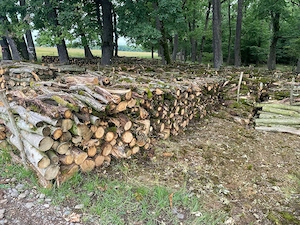 lemne de foc