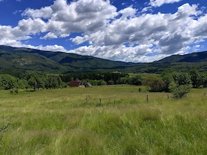Teren de Vanzare - Intravilan - 2750mp  - imagine 6