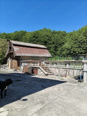 Proprietate Impunătoare D+P+1E+M   Teren 1600 mp   Bascov (Sat Uiasca) - imagine 3