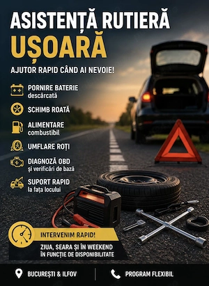 Asistenta Rutiera Usoara