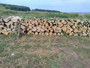 Vand lemne de foc esenta tare carpen si stejar transport la domiciliu 