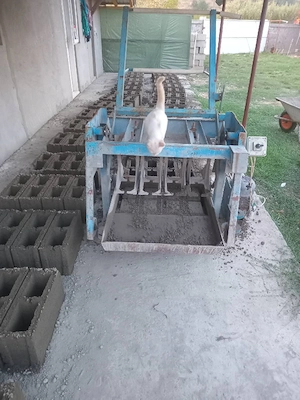 vibropresa boltari 