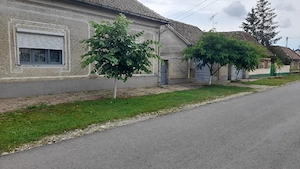 vand casa inalta din cărămida cu anexe in Pecica
