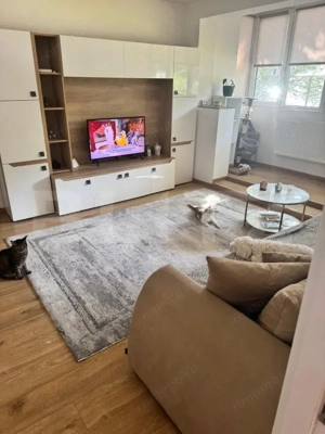 Apartament 2 camere, parter – Calea Moldovei, lângă OMV - imagine 2