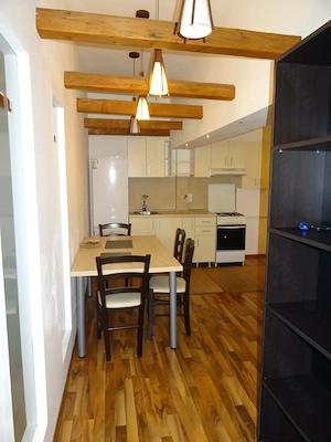 Apartament cu 2 camere de vânzare   Piața Unirii- 593 - imagine 4
