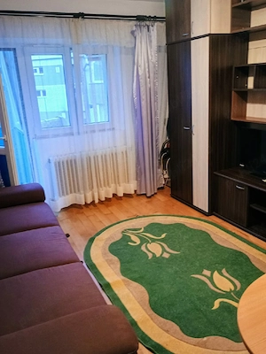 apartament 1 camera  - imagine 4