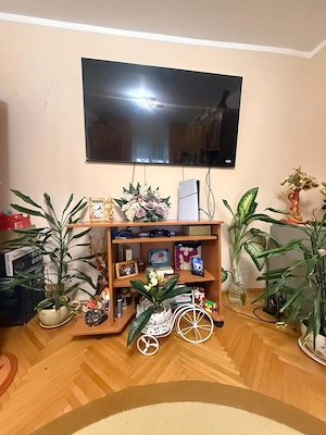 Apartament cu 2 camere MOBILAT SI UTILAT Girocului - imagine 9